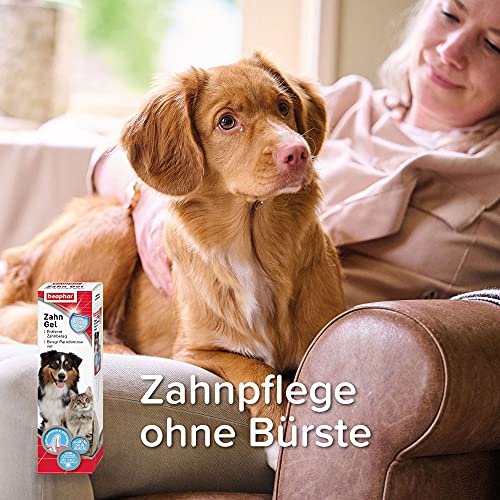 Beaphar Zahngel - Für Hunde und Katzen - Mit Leber-Geschmack - Zahnpflege ohne Zahnbürste - 100 g (Packung mit 2)
