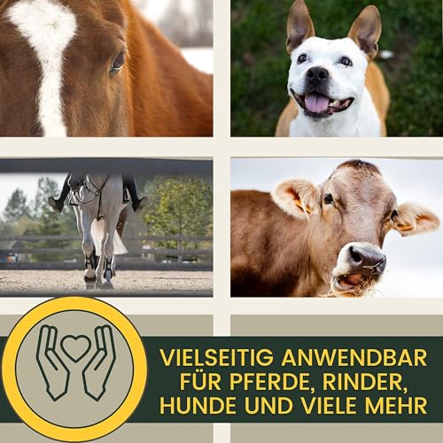Kühlgel Pferd & Pferdebalsam wärmend & kühlend 2x500ml Arnika Salbe hochkonzentriert Gel für Sehnen Gelenke Muskeln Pferde Beine I Kühlsalbe Pferd mit Menthol Arnica Gel extra stark bei Verspanung