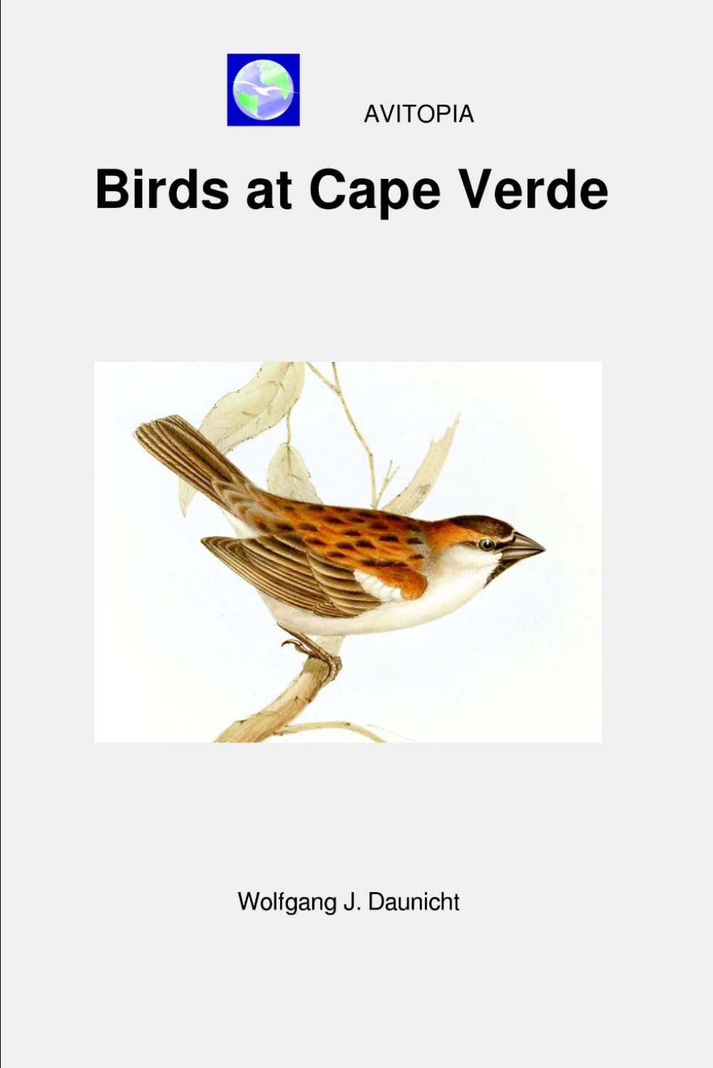 AVITOPIA - Birds at Cape Verde