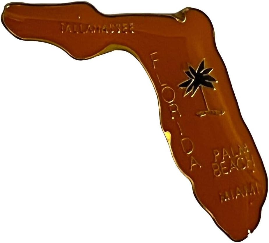 Wholesale Lot of 12 Florida Enamel State Map Hat Cap Lapel Pin (ACE - 610)