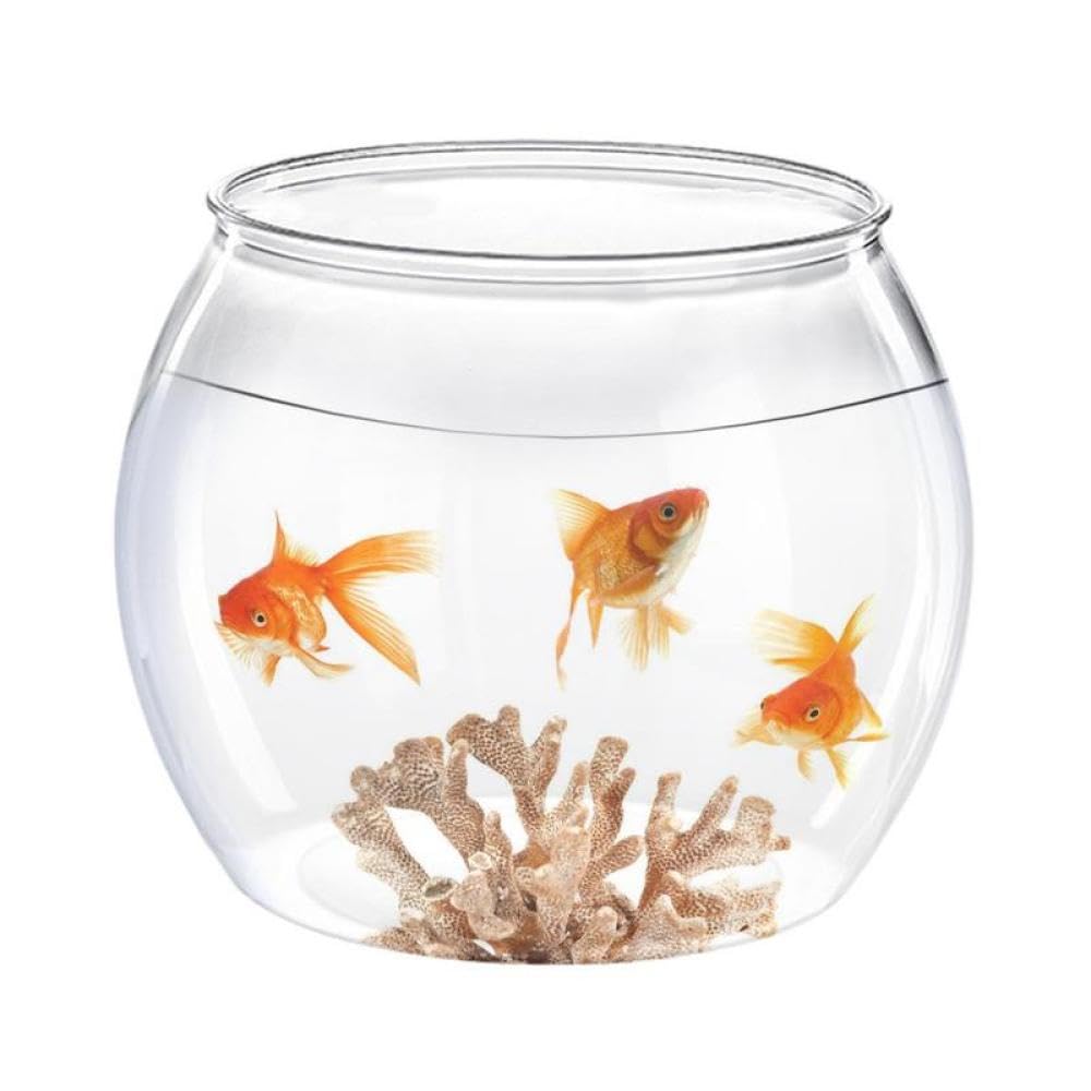 Pecera de Escritorio Pecera pequeña irrompible para Peces Betta, Recipiente Decorativo para Peces Dorados, Peces Betta y más Decoración Pecera