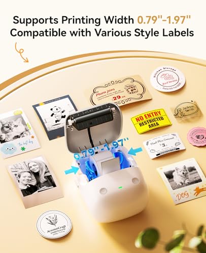 Image of NIIMBOT B2 Pro Label Maker with 3Tapes, Supports Photo Printing, Silver