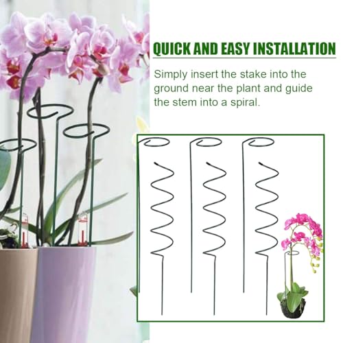 Lot de 10 piquets en spirale pour plantes grimpantes et plantes grimpantes - Idéal pour les tomates et les plantes grimpantes