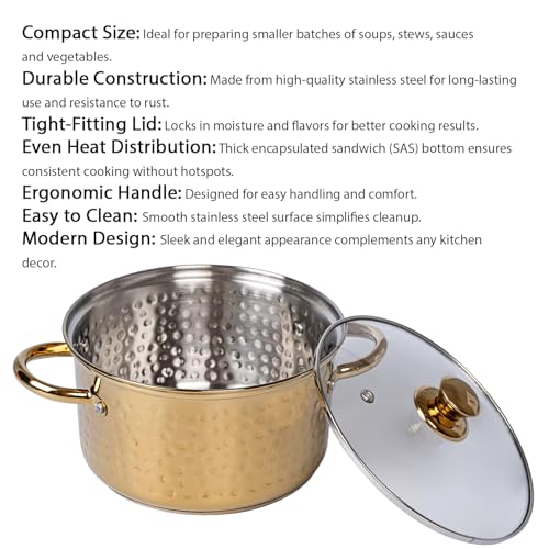 Image of Zaib TOPSYTURVY Stainless Steel Hammered Gold PVD Coated Saucepot with Glass Lid 20 CM | Multipurpose Cooking Pot for Gas & Induction | Even Heat Distribution