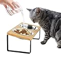 GUUSII HOME Raised Tilted Cat Bowl Cat Feeder Feeding Bowls Cat Dishes Stainless Steel Cat Food Plate Set of 2 Pet Dish Anti Vomiting Indoor with Elevated Bamboo Stand