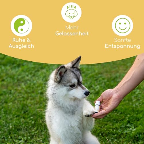 ANGSTFREI Bachblüten Globuli für Hunde & Katzen – 1.200 Bio-Zucker Globuli gegen Angst & Stress – Natürliche Blütenessenzen für innere Ruhe & Entspannung