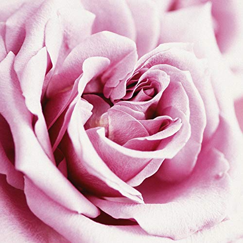 Paul Sebastian Women\'s Perfume, Fragrance by Paul Sebastian, Day or Night Scent, Eau de Parfum, CASUAL, 4 Fl Oz