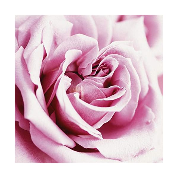 Paul Sebastian Women's Perfume, Fragrance by Paul Sebastian, Day or Night Scent, Eau de Parfum, CASUAL, 4 Fl Oz