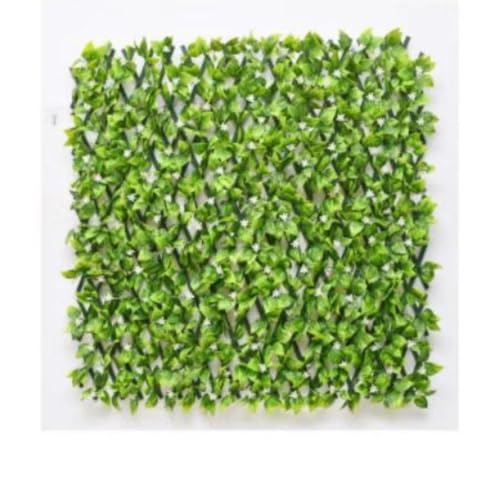 TYVAYAGE tFCNO[ tFX Lk ԃK[ftFX [_ lHAtFX ډB O뉀 [sAi]