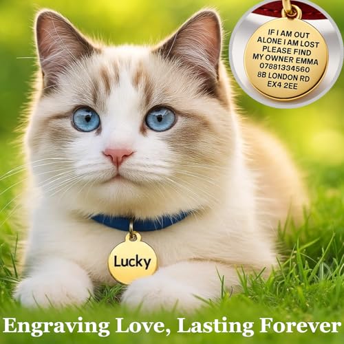 Personalised Dog Tags for Pets UK Prime, Deep Engraved Cat Dog Name ID Tags, Stainless Steel Pet Tag for Doggy Kitten Kitty Puppy, Scratch Resistant Tag (Silver Round, L) - Image 3
