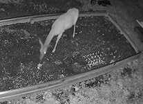 Review Image by Tom H Tom H