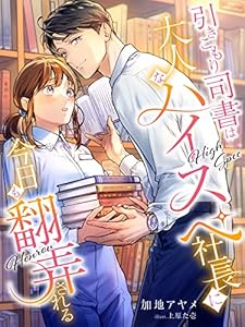 引きこもり司書は大人なハイスペ社長に今日も翻弄される (夢中文庫セレナイト)