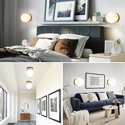 Aoceley Gold Wall Sconces Set Of Two Modern Globe Wall Light Fixture Gold Sconces For Bedroom Living Room Bathroom Hallway Stair (Exclude Bulb) #TOP3