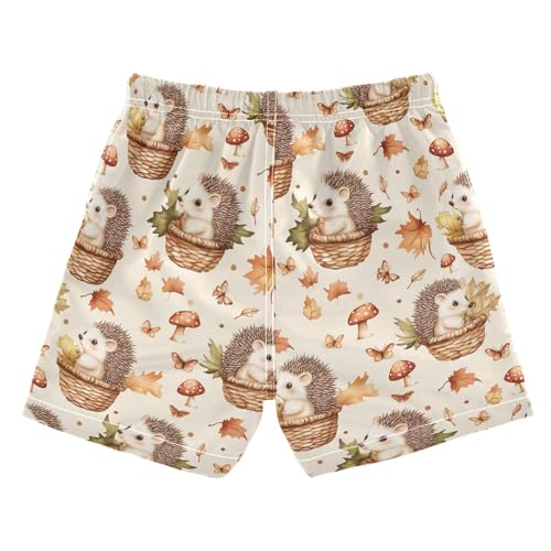 Boys Swim Trunks Quick Dry UPF 50+ Beach Board Shorts Kids Bathing Suits Swimsuit 2T Hedgehog Mushroom Leave2