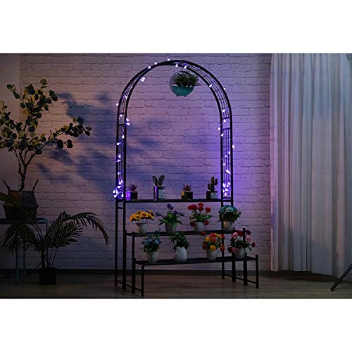 Doeworks 3 Tier Plant Stand With Garden Arch, Flower Pot Holder Display Shelf, Garden Arbor For Climbing Plants, Black #TOP6