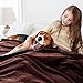 Bertte Plush Throw Blanket Super Soft Fuzzy Warm Blanket | 330 GSM Lightweight Fluffy Cozy Luxury Decorative Stripe Blanket for Bed Couch - 50