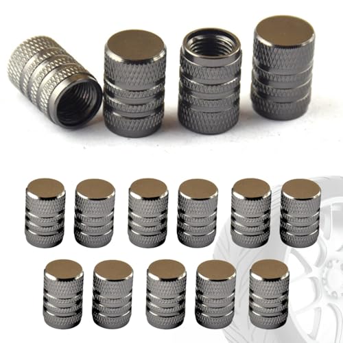 15 Tapones de Rueda de Coche   Aluminio   Válvula para Neumáticos, Tapones de Alta Resistencia, Tapon de Rueda de Coche. (Gris)