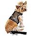DOGGIE DESIGN Cool Mesh Dog Harness Solid Black (Small)