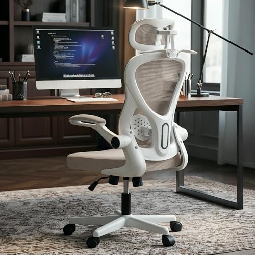 DROGO Ergonomic Office Chair for Work from Home with Breathable Mesh, Flip-up Armrest, Adjustable 3D Headrest & Lumbar Support | Computer Chair for St
