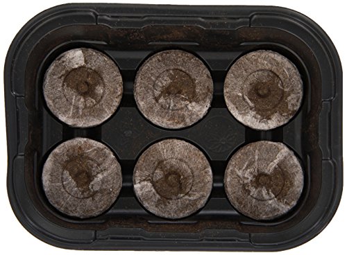 Jiffy 5709 Mini Greenhouse