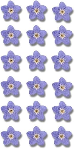 20Pcs Purple Forget Me Not Flowers Myosostis Sylvatica Dried Pressed Flowers for Resin,Candle,Epoxy Resin,Soap Making,Scrapbooking,DIY Art Crafts,Scrapbooking Embellishments