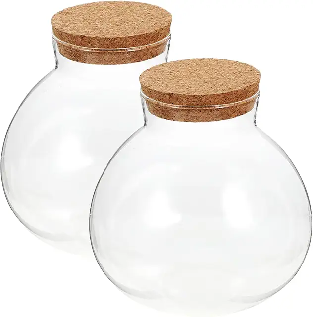 GANAZONO 2-Piece Glass Terrarium Container with Cork Stopper for Succulents