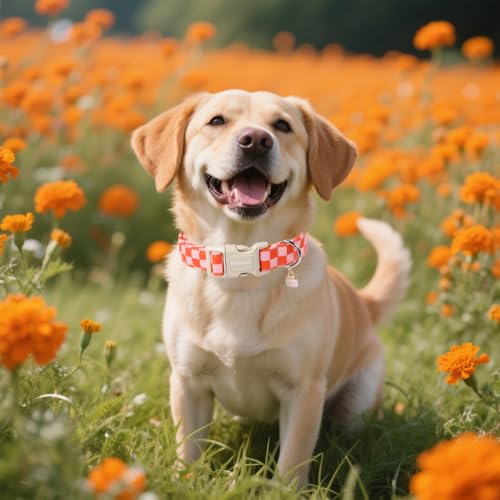 DOGWONG Hundehalsband, Hunde Halsband für Kleine Mittlere und Große Hundes, Komfort Gemustertes Hundehalsbänder Verstellbares, Rosa Plaid Hunde Kragen