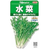 サカタのタネ 実咲野菜2970 水菜 千筋キョウナ 00922970