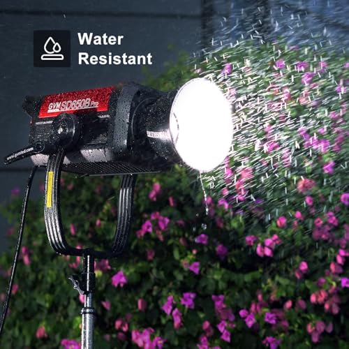 Professional Studio Lighting Kit LED