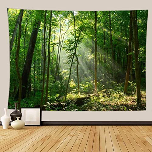 [NHYGDY] ^yXg[ ~ iF k  X Ri iX JtF p p CeA ẑj Ǐ @\  Ǌ| ͗lւ 180*230cm uPbg  p[eB[ pi ǉ LoX A[