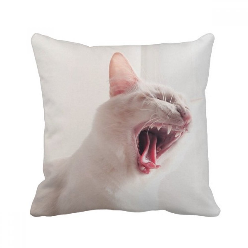 Coussin chat gris de 40 x 40 cm, l'idée cadeau idéale pour salon