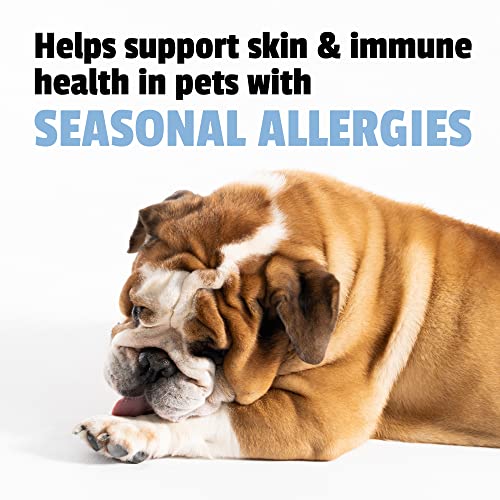 Pet-Naturals-Allergy-Plus-Calming-Supplement-for-Dogs-Soft-Chew-Duck-Flavor-60-Ct