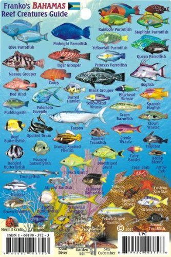 Bahamas Reef Creatures Identification Guide Franko Maps Laminated Fish Card 4x6 by Franko Maps Ltd. (2011-06-01)