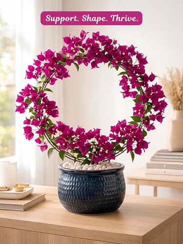 Image of Bombay Greens Round Metal Trellis Climbers Support Stake for Plants | Iron Garden Money Plant Climbers & Plant Support Stick | Rust Resistant Plant Support Ring for Indoor & Outdoor Garden - Pack of 2