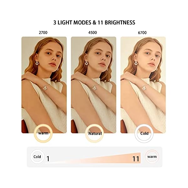 Plartree Videokonferenz Licht, 6"Ringlicht Laptop mit Clip, 3 Lichtmodi, 11 Helligkeitsstufen, Ringleuchte für Zoom Meeting,Webcam, Tiktok, Makeup, Live Stream, YouTube, Fotografie/Dimmbare – Bild 3