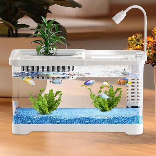 小型魚水槽,ベタとエビ用景観水槽キット - メダカ エビ カメ用 アクアリウム 寝室 リビング デスク インテリア