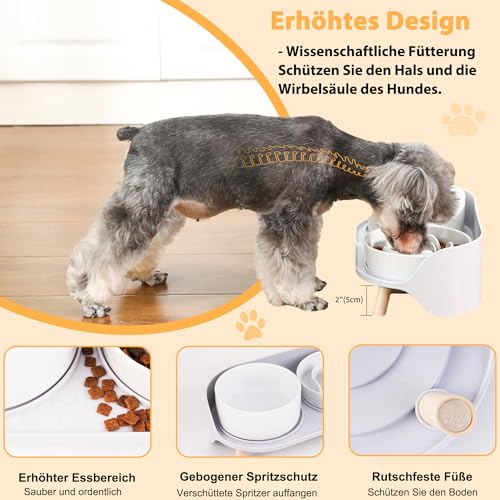 Antischlingnapf Hund Keramik Napfset erhöht - Hundenapf für langsames Fressen - Doppel-Fressnapf für kleine und mittelgroße Hunde - Futternapf & Wassernapf mit rutschfestem Ständer