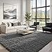 8x10 Area Rugs for Living Room: Ultra Soft Fluffy Shag Grey Rugs for Bedroom, Non-Slip Large Fuzzy Plush Rug Indoor Floor Carpet for Nursery Kids Boys Girls Room, Dorms, Playroom, Modern Home Decor