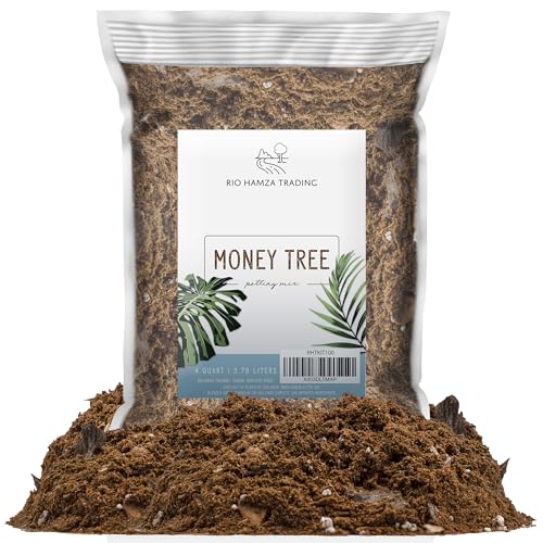 Money Tree Soil (4 Quarts), Potting Mix for Planting/Repotting Pachira Aquatica, All-Natural Custom...
