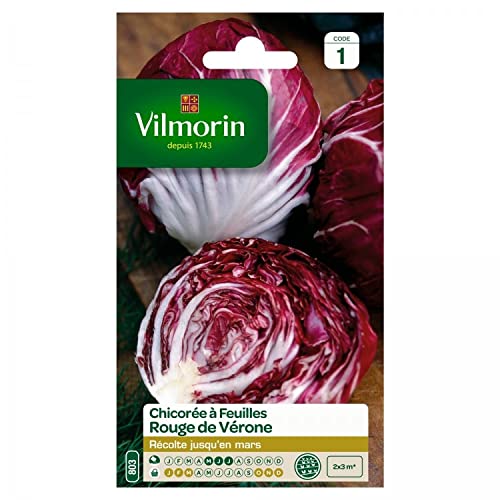 Vilmorin - Chicorée Rouge de Véronne
