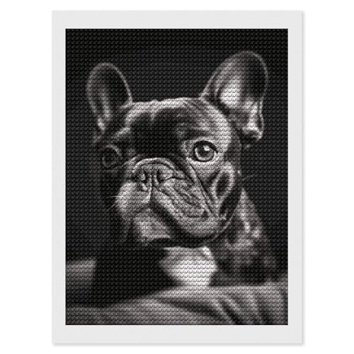 BTCOWZRV 5D Diamond Painting Kits for Adults, French Bulldog Diamond Art Kits for Beginners, DIY Full Round Drill Paint with Diamond Pictures Gem Art and Crafts for Home Decor 12