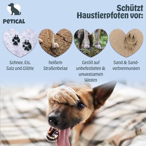 Petical Pfoten und Nasenbalsam für Hunde I natürlich, pflegendes Balsam für gesunde Pfoten & Nase, Pfotenpflege Hundepfoten-Balsam Pfotenbalsam Paw Cleaner Salbe Creme