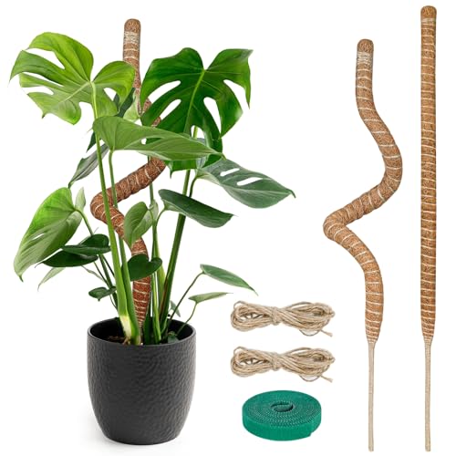 TLAZZ 28C` X|[ Ȃ郂X|[ XeAT|[g ł̂ApX|[ RCAA|[XeBbN Apx |gX tBfhp