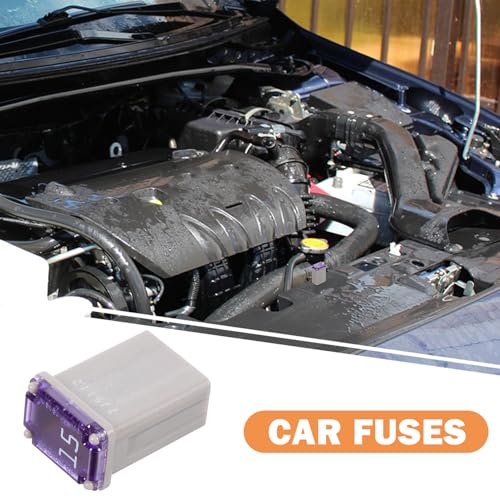 Alipis Kit de Fusibles Micro Automotrices 15 Amperios, Set de 10 Piezas para Autos, Camiones y RVs miniatura 4