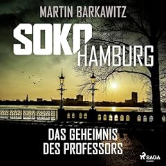 Das Geheimnis des Professors Titelbild