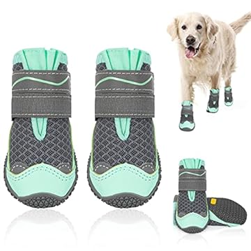 best dog shoes for heat