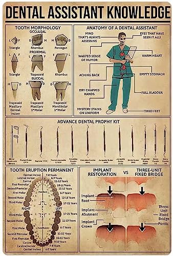 Dental Assistant Knowledge Canvas Frameless Poster Tooth Morphology Painting Prints School Dental Hospital Cafe Bedroom Bathroom Kitchen Home Art Wall Decor 24x36inch