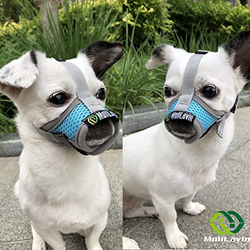 Moiilavin Extra Small Dog Muzzle Xs For Grooming Barking Chewing, Barkless Soft Mesh Muzzles To Prevent Eating Poop Things,Best For Aggressive Dogs (Grey-Blue) #TOP1