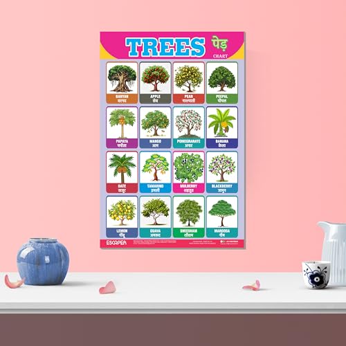 Image of ESCAPER Trees Educational Charts for Kids Learning (11.5 x 17.5 Inches), Study Material, Learning Books, Educational Posters