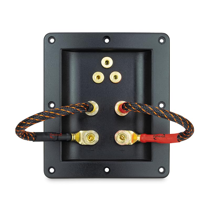 Dynavox Bi-Wire Lot de 4 passerelles de câble, 2 rouges et 2 noirs, en cuivre pur (99,99 OFC), fiches banane interchangeables, cosses à fourche